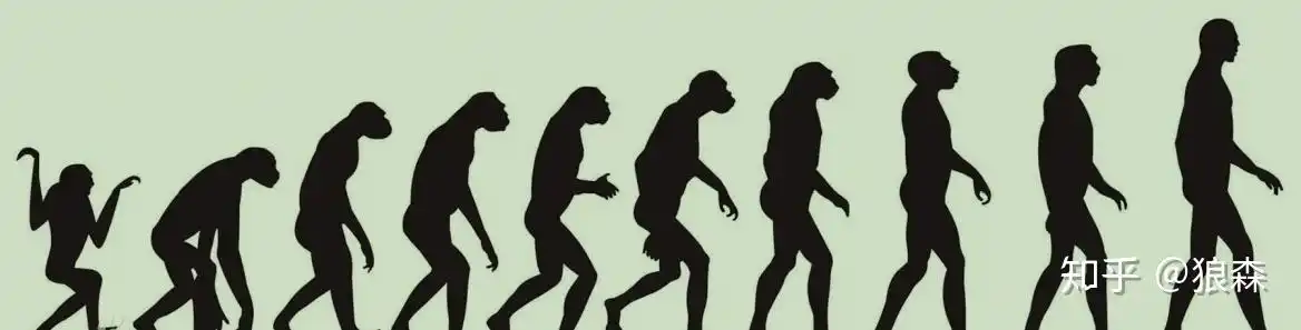 为什么人类繁殖能力不强成年时间过长却没有灭绝