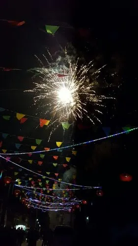 河南省新乡市获嘉县亢村镇大毛庄村