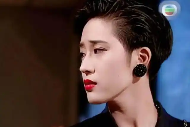 袁咏仪年轻颜值巅峰 图17