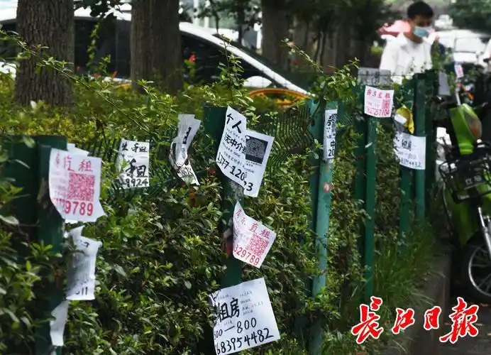 他们和城管"打游击"市民盼根治_长江网武汉城市留言板_cjn.cn