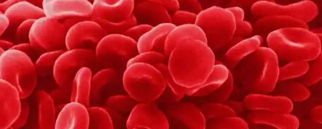 1,血液凝集反应是不同血型的血液相遇时可能发生的血清免疫反应,而