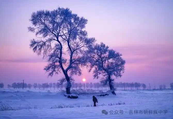 【寒假实践】市朝中学子赞美景 抒情怀_吉林市_雾凇
