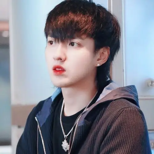 261.吴亦凡头像(滤镜)