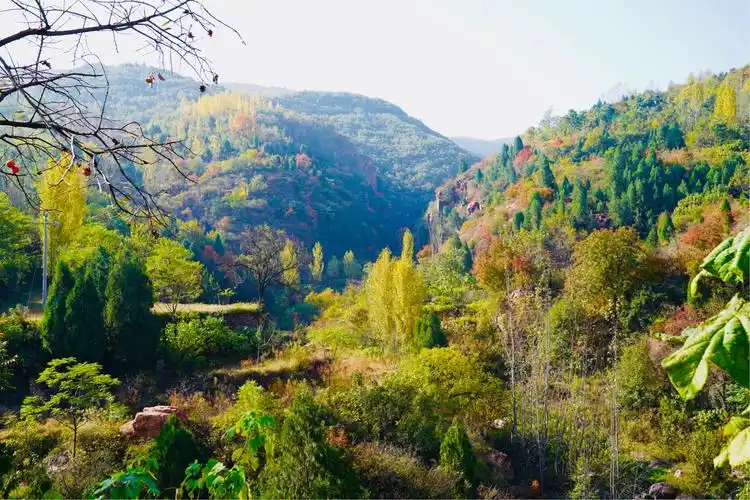 今天是10月24号星期三,天气晴好,温度10到24度,环翠峪五颜六色风景
