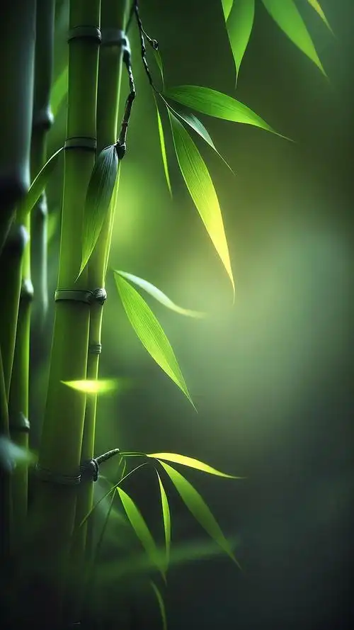 高清手机壁纸大全超好看的4k美景图片快进来收图叭