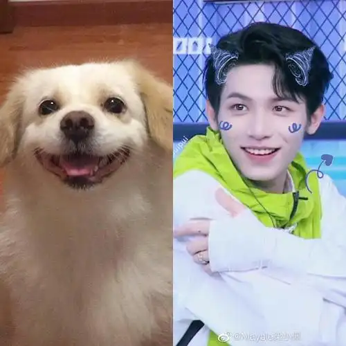 十七 李政 狗勾