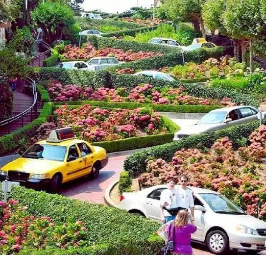 美国旧金山99九曲花街