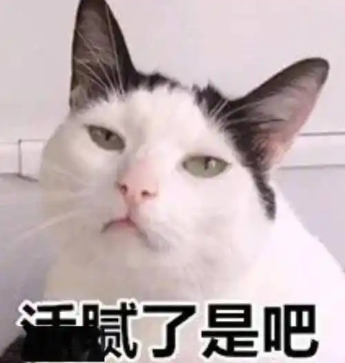 你是不是要攻击我了丨第925期喵表情包_侵权_网络_图片