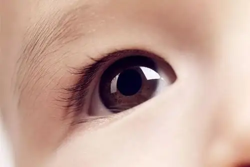 眼睛的抗议:过年,就是一家人对着玩手机吗?_儿童