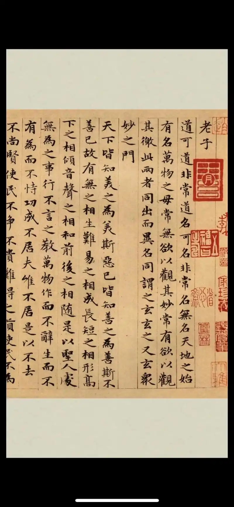 书法欣赏|四大书法家之一赵孟頫《道德经》