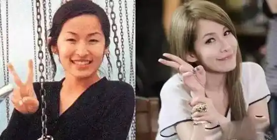 萧亚轩整容了吗,萧亚轩现在怎么样了,本文共(3865字)