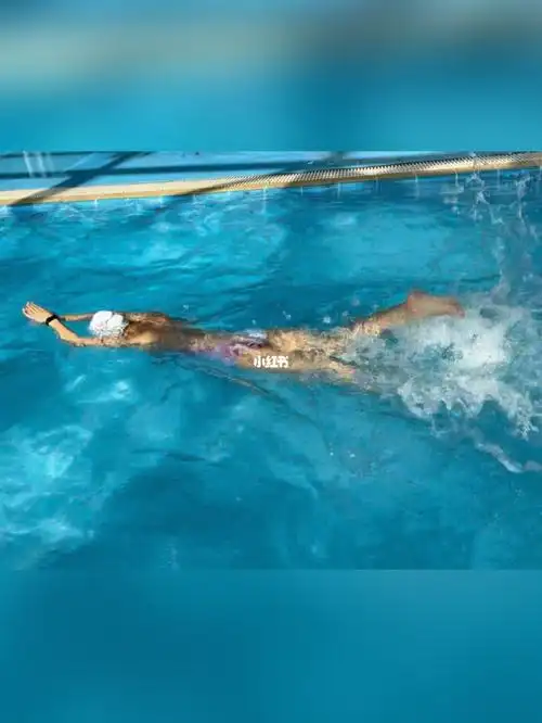 自由泳的鞭状打腿到底是啥样