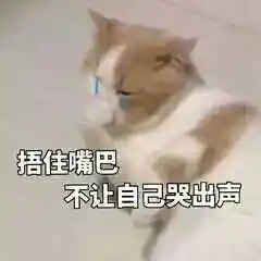 捂住嘴巴,不让自已哭出声(流泪猫咪)_猫咪_自已_捂住_出声_流泪表情