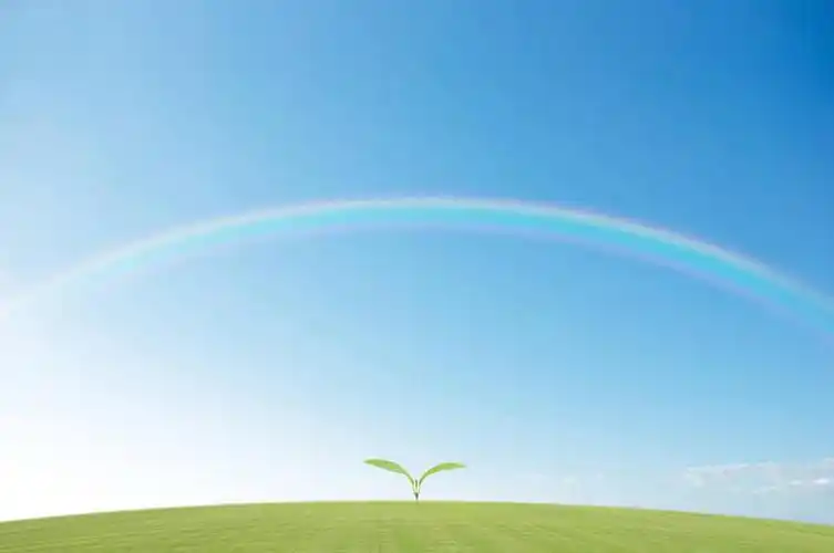 无人,横图,室内,白天,正面,数码,科技,彩虹,草地,草坪,美景,植物,阴影