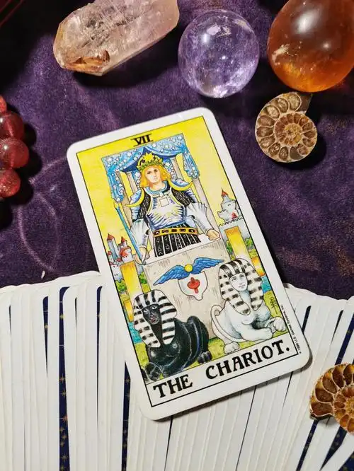 新手系统学塔罗8战车建议收藏点亮小星星