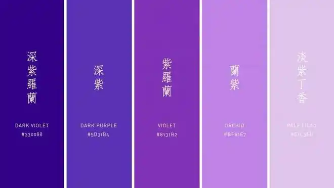 可能都是不同的颜色,从紫罗兰,薰衣草的温柔轻薄,到深紫色的奢华富贵