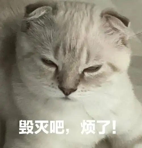 凉夏天空2021-06-28 23:39:40 怎么会都拍成表情包啊怎么会都拍成表情