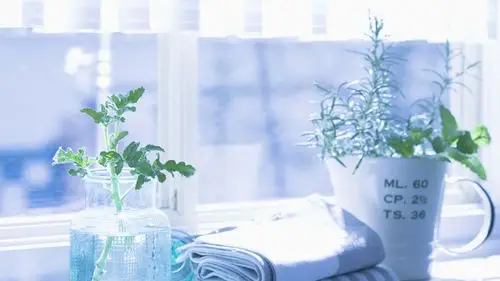 小清新的静物家居摆设,高清图片,电脑桌面-壁纸族