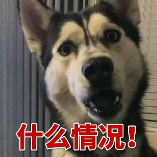 哈士奇 表情包 - 堆糖,美图壁纸兴趣社区