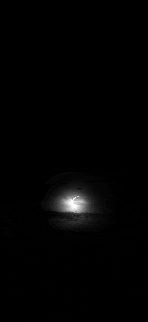 gif动态图做成动态壁纸真好看