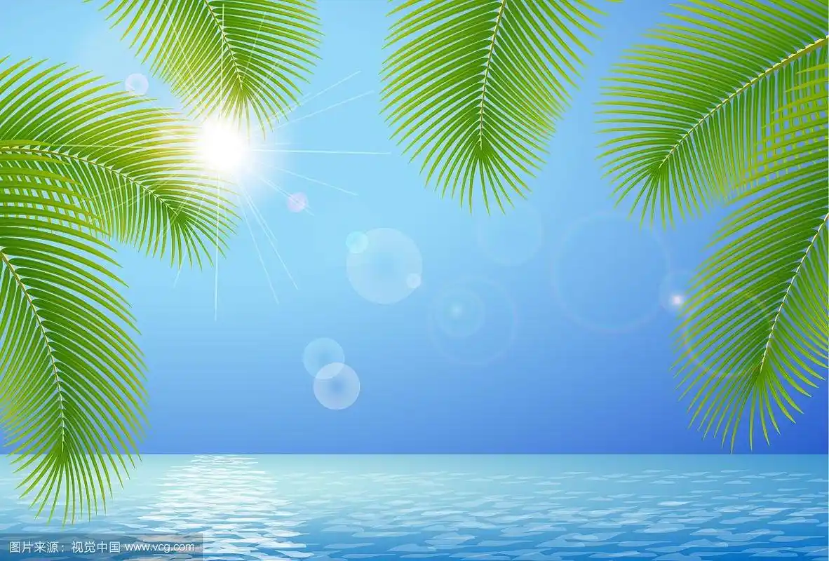阳光明媚的蓝天,大海和棕榈枝
