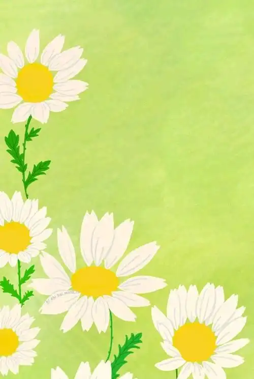 小清新绿色系列手机壁纸 仲夏七月 与美好不期而遇