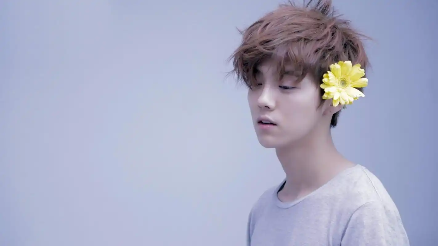 鹿晗小清新小黄花明星风尚壁纸