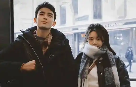 吴磊主演剧评分榜top10! 《在暴雪时分》6.8分,《星汉灿烂》7.