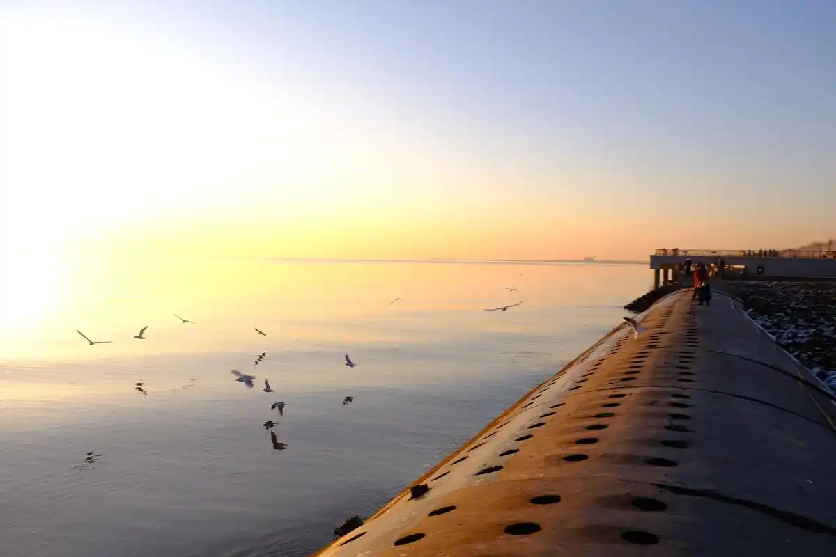 99天津滨海新区东疆亲海公园 北京自驾2小时即可到达 如果就是为了