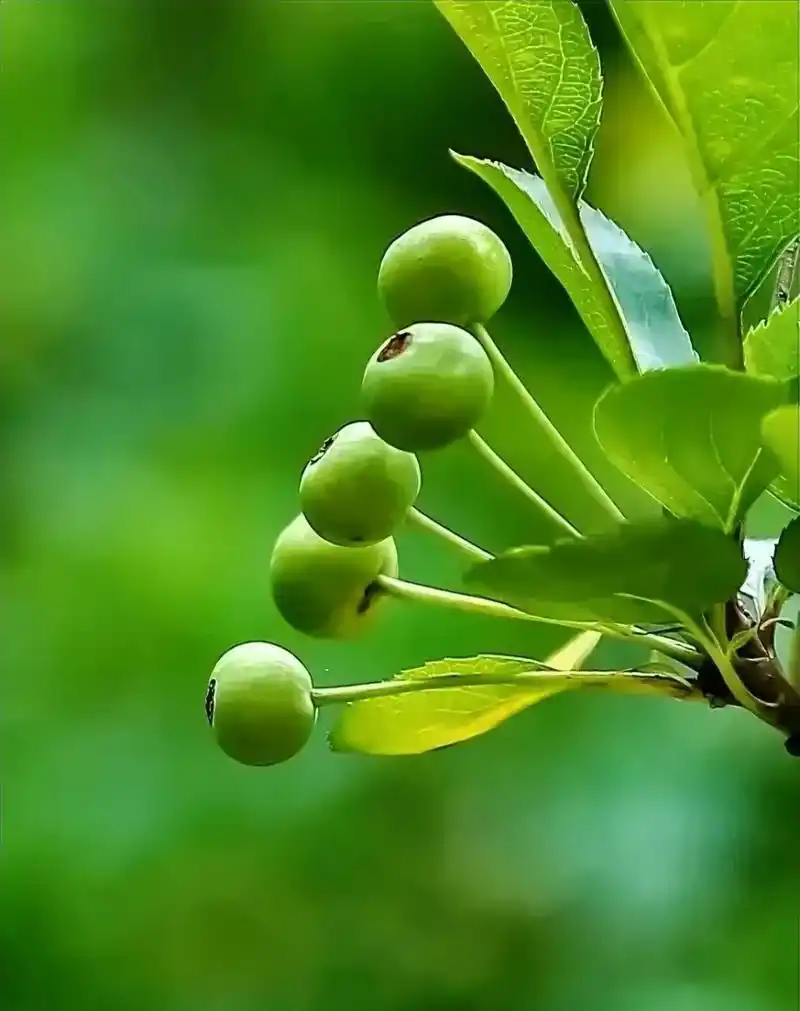 1013_1280竖版 竖屏