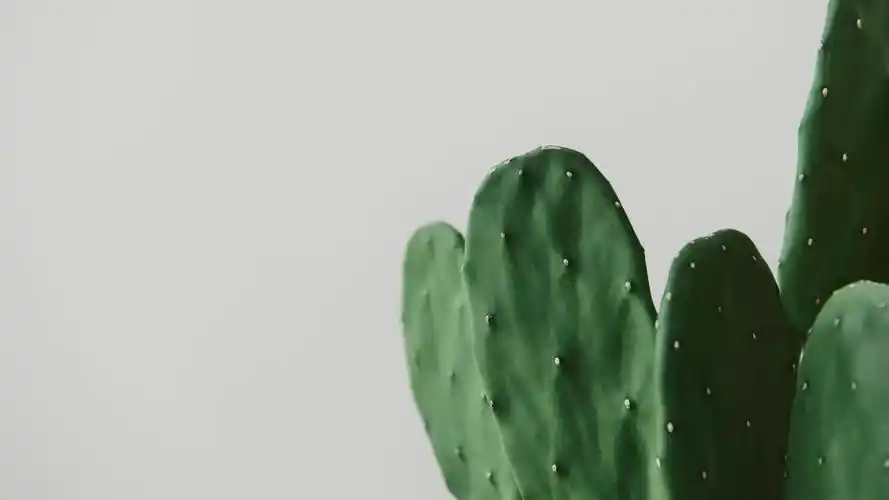 "心心念念"的高清电脑壁纸,超级好看赶紧来保存吧