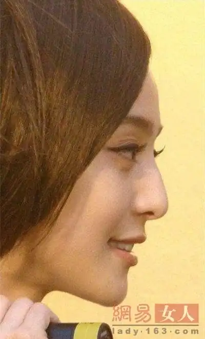 驼峰鼻美女,当然有刘亦菲啦,侧面无敌.