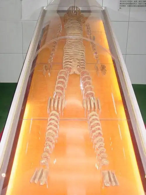 人体科学馆-新乡医学院