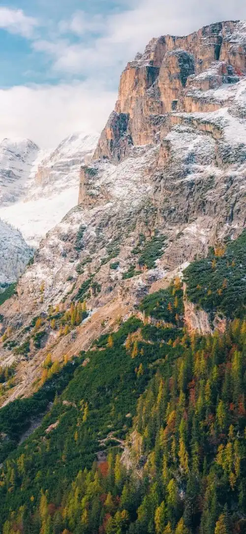 壁纸2021年最大的愿望就是生活顺利