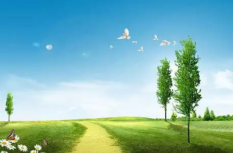 草地小路鲜花春夏风景海报背景素材