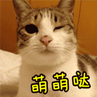 卖萌萌萌哒gif动图_动态图_表情包下载_soogif