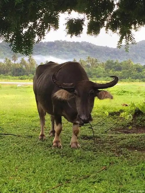 640_853竖版 竖屏