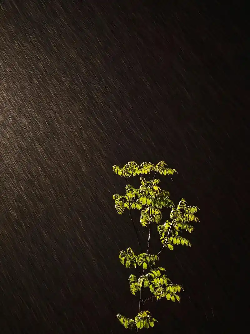 淅淅沥沥,是治愈的气息 #下雨天 #孤独氛围感 #雨夜 #我 - 抖音