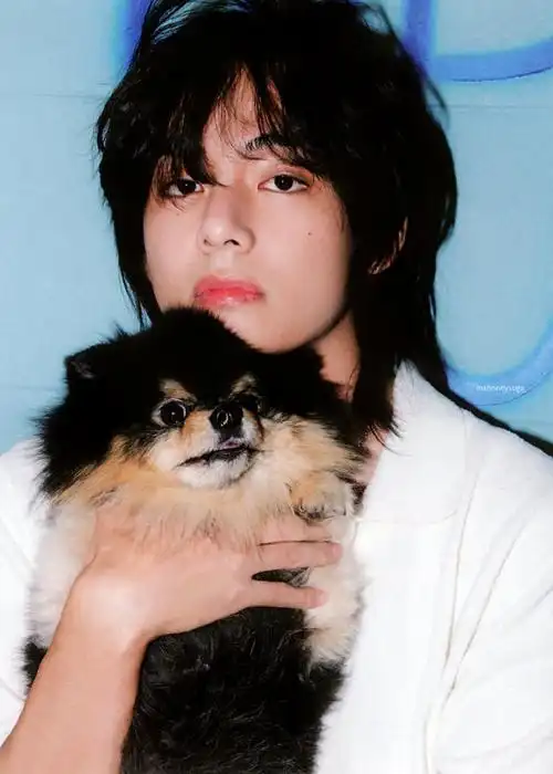 金泰亨##金泰亨专辑