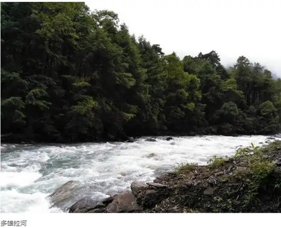 p data-id="gnwg47q3yk">多雄拉河:是墨脱县西部的河,发源于 a