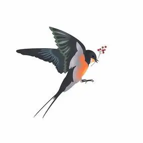 燕子手绘插画