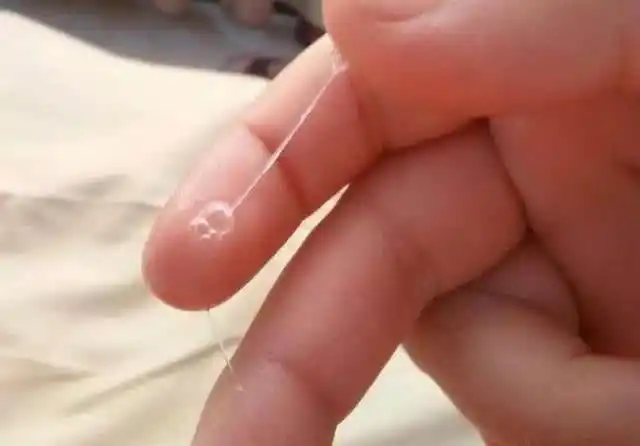 女人排卵时身体会出现这3个感觉想要娃别延误时机