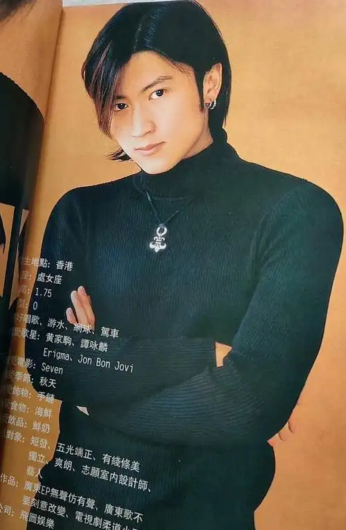 青春岁月偶像~谢霆锋年轻图片集