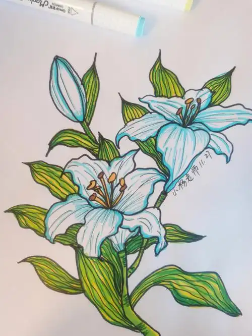 儿童画百合花绘画步骤分享