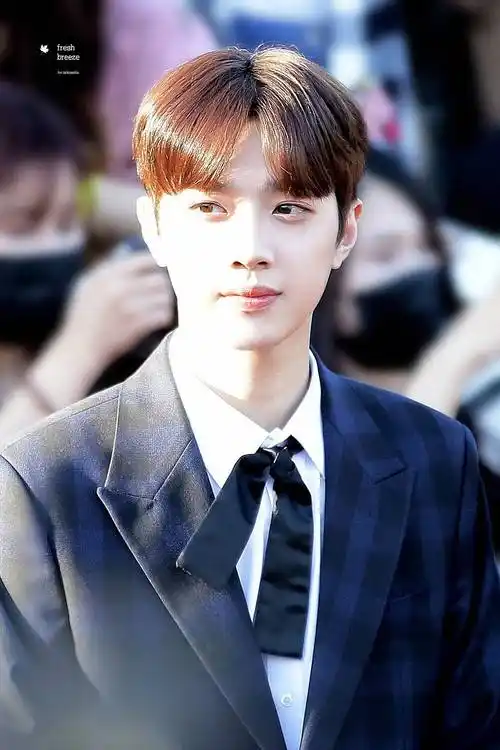 男版produce101 wanna·one 赖冠霖 cr.logo