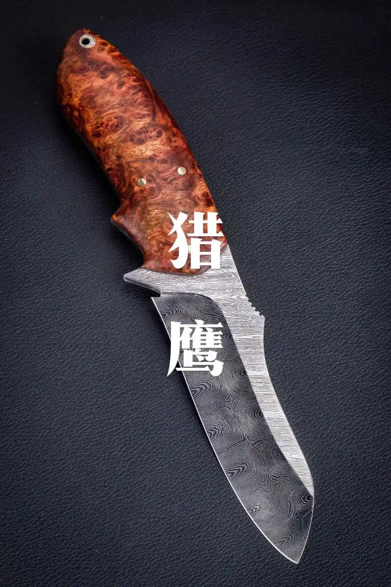 01号作品:猎鹰.#狩猎 #猎鹰 #合法狩猎 #国外合法狩猎 - 抖音