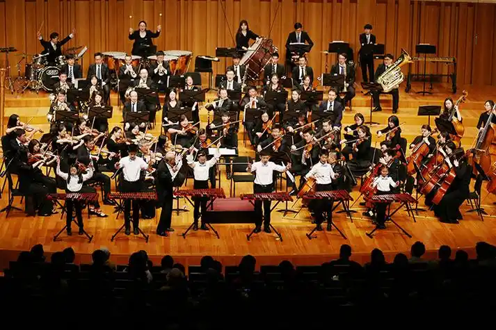 音乐会现场 陈维松 摄影.jpg