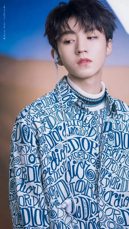 王俊凯推荐刘昊然来盒子里的猫