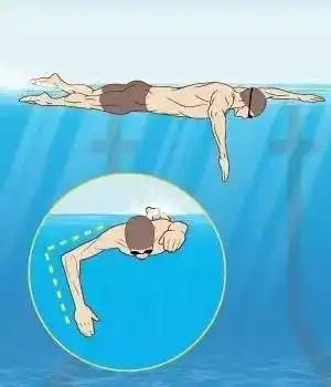 划水   是运用手臂在水中的合理动作来产生推进速度的技能,是游泳的