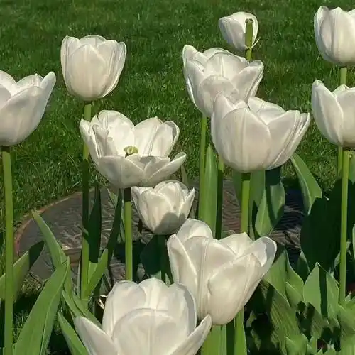 背景图|高级感满满的背景图来喽